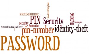 Passwords and Pin Numbers