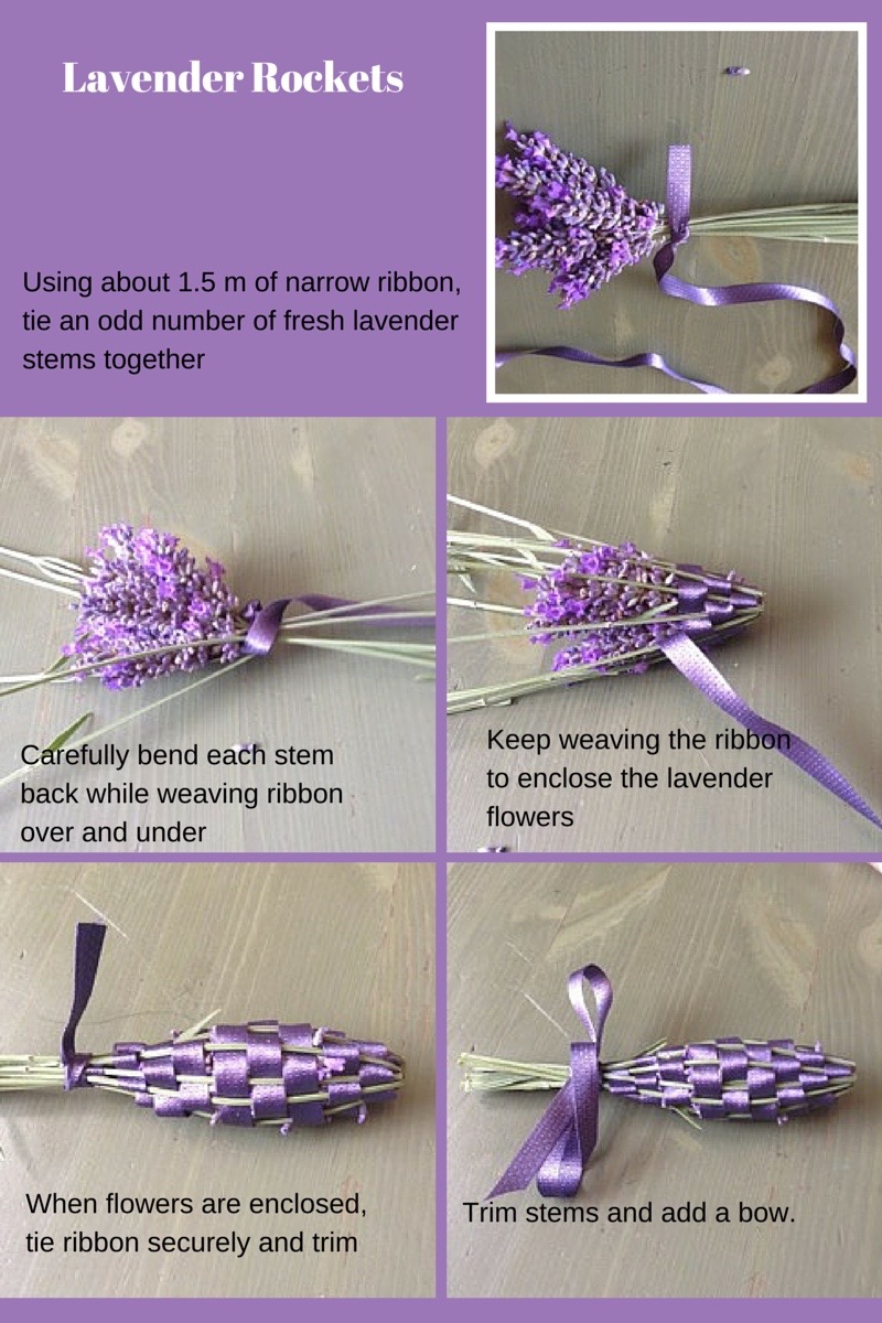 Canva graphic showing hoiw to make a lavender rocket
