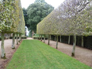 Hotnbeam lined walk at Hidcote Garden