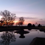 Sunrise reflected in pond at Prittlewell Gardens