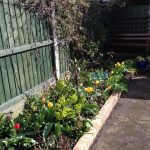 Garden border in April