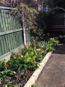 Garden border in April