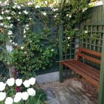 Garden bench and tulips