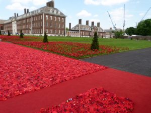 Flower Show - knitted poppy display