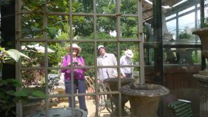 Petersham Nurseries