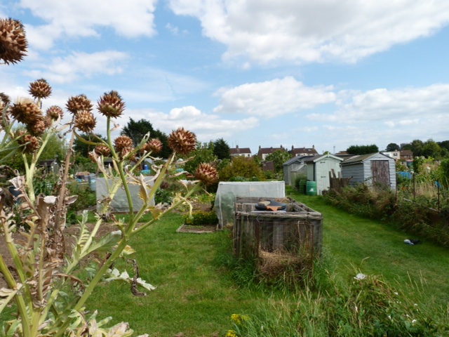 Springfield Drive allotments