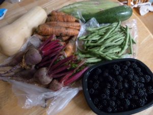 root vegs from allotment