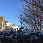 Yellow rose against sky and snow backgroundd