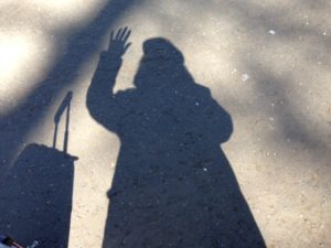 shadow on path in Princes Street gardens