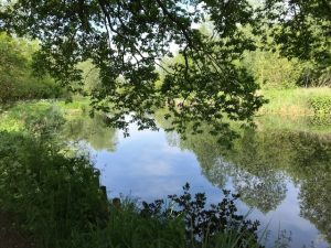 tranquil river