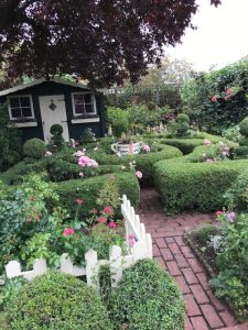 box hedge maze