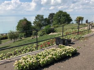 Southend Cliff Top