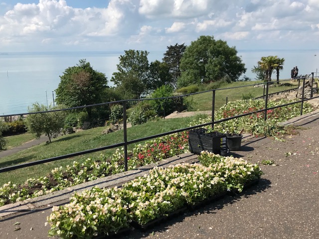 Southend Cliff Top